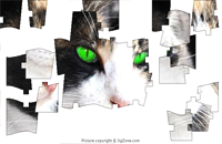 Green Eyes Puzzle